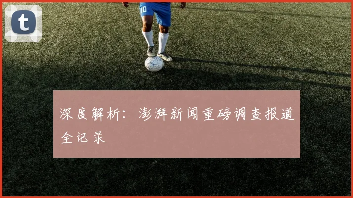 深度解析:澎湃新闻重磅调查报道全记录