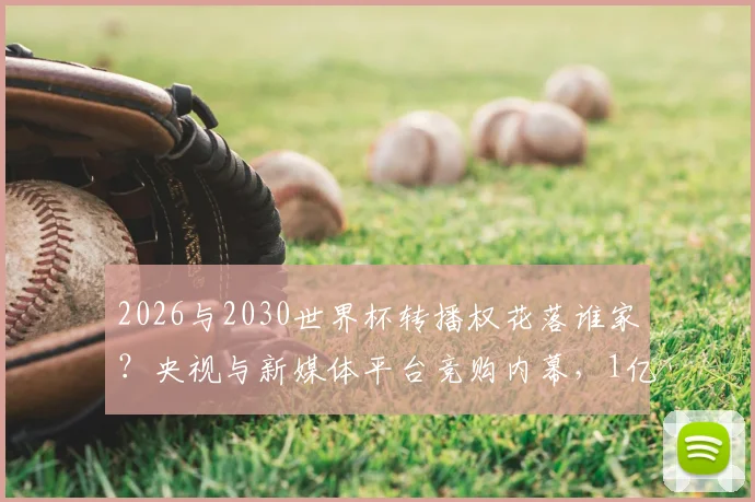 2026与2030世界杯转播权花落谁家？央视与新媒体平台竞购内幕，1亿美元差价成关键