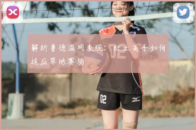 解析鲁德温网表现：红土高手如何适应草地赛场