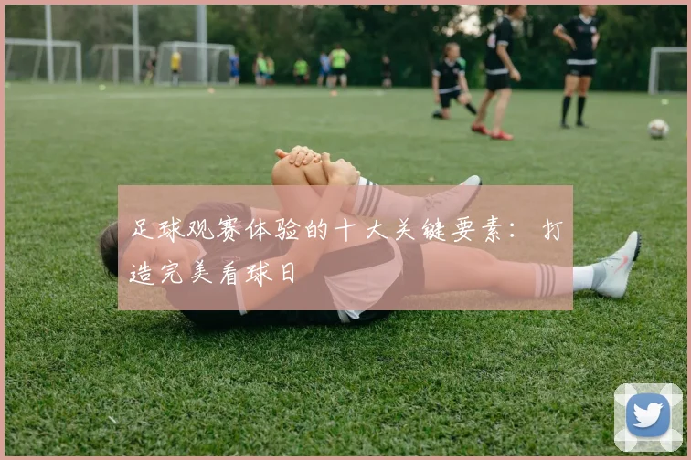 足球观赛体验的十大关键要素:打造完美看球日