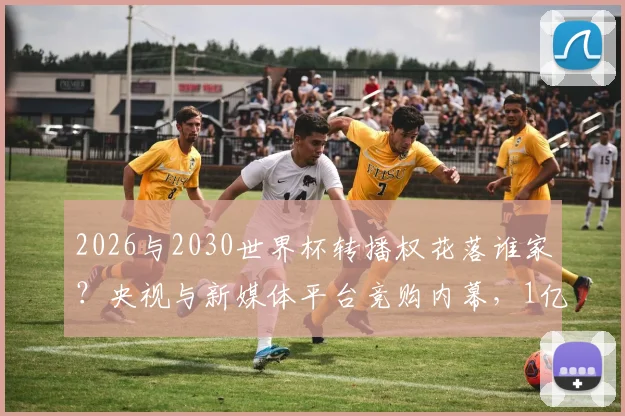 2026与2030世界杯转播权花落谁家？央视与新媒体平台竞购内幕，1亿美元差价成关键