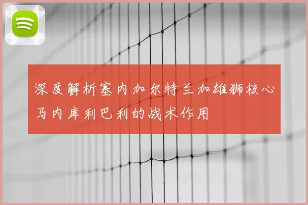 深度解析塞内加尔特兰加雄狮核心马内库利巴利的战术作用