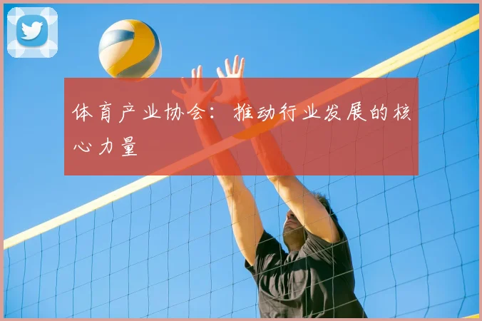 体育产业协会：推动行业发展的核心力量