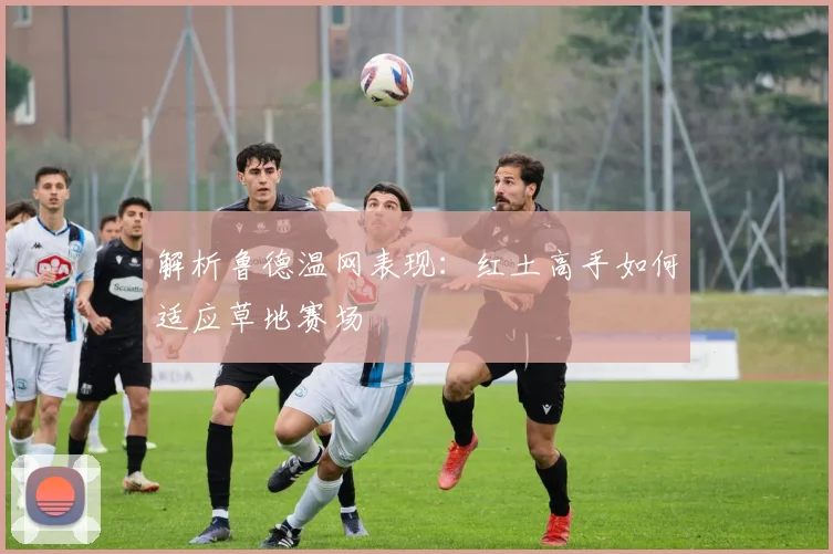 解析鲁德温网表现:红土高手如何适应草地赛场